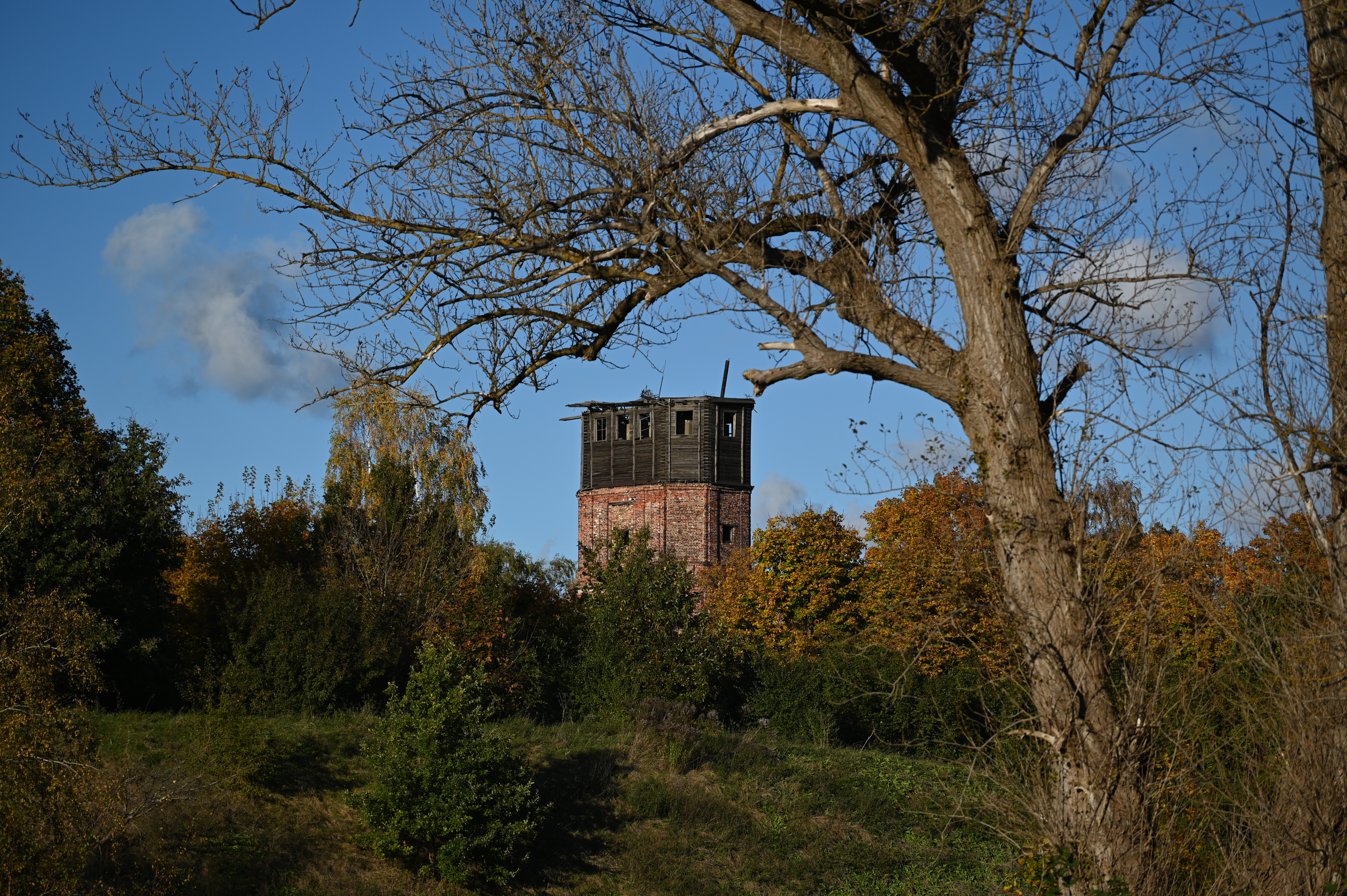 2025/10/18 - walk/DSC_0130.JPG